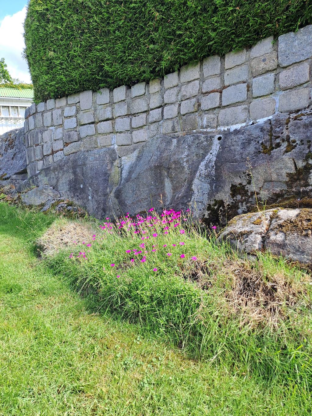 Fina muren mot övre delen av trädgården