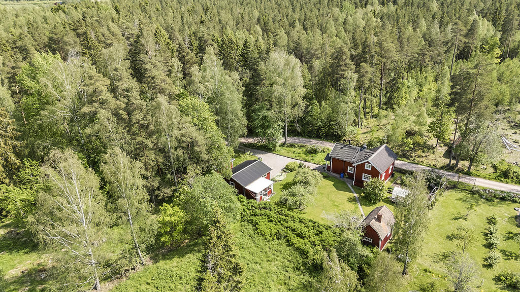 Inbäddad i grönska