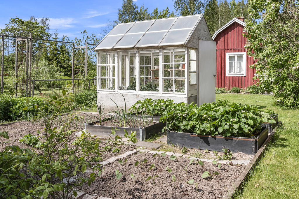 Odlingsmöjligheter för dig med gröna fingrar