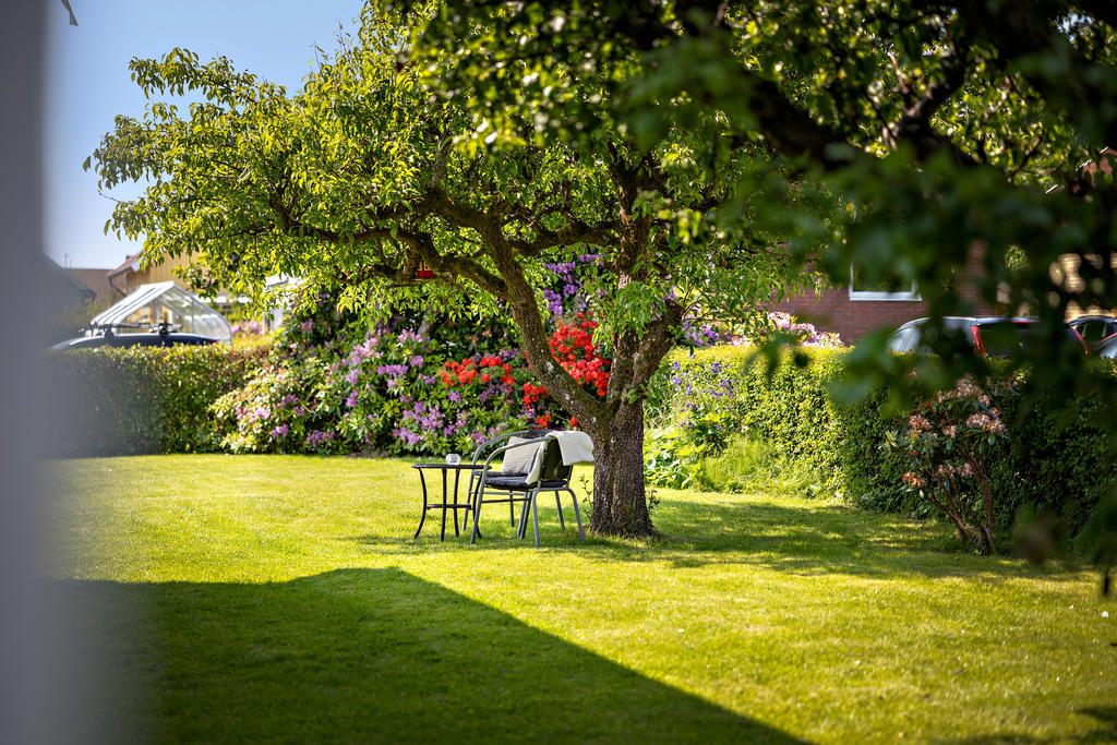 Trädgården