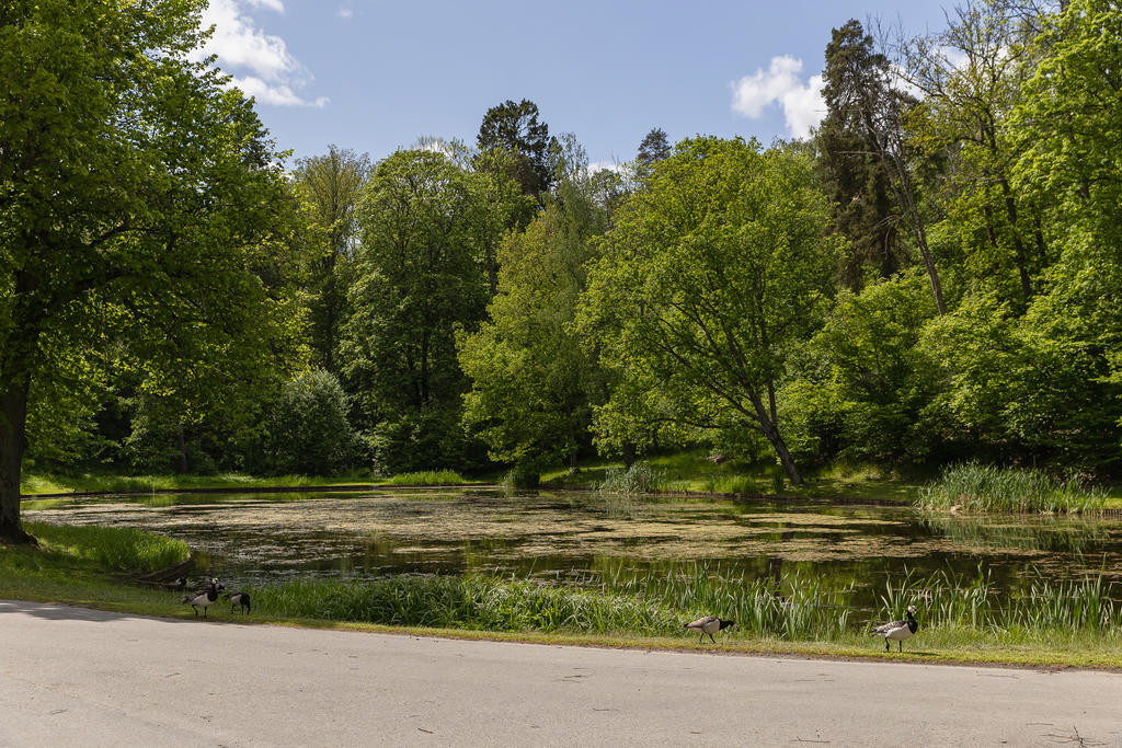 Ulriksdals slottsgård