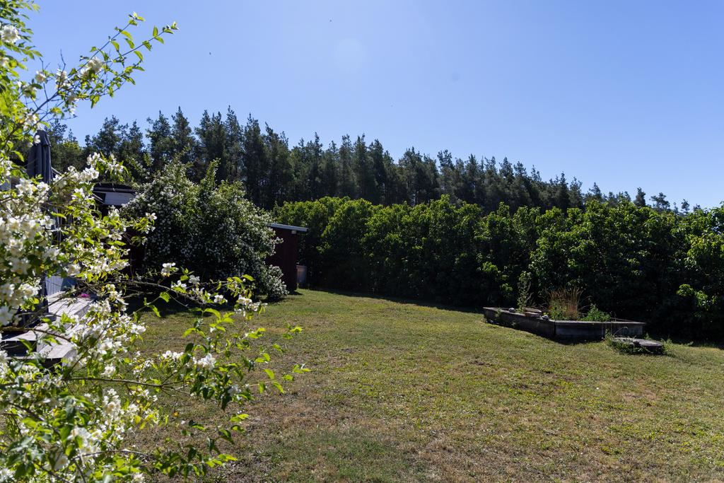 Trädgård