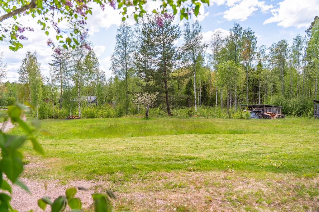 Trädgårdsbild
