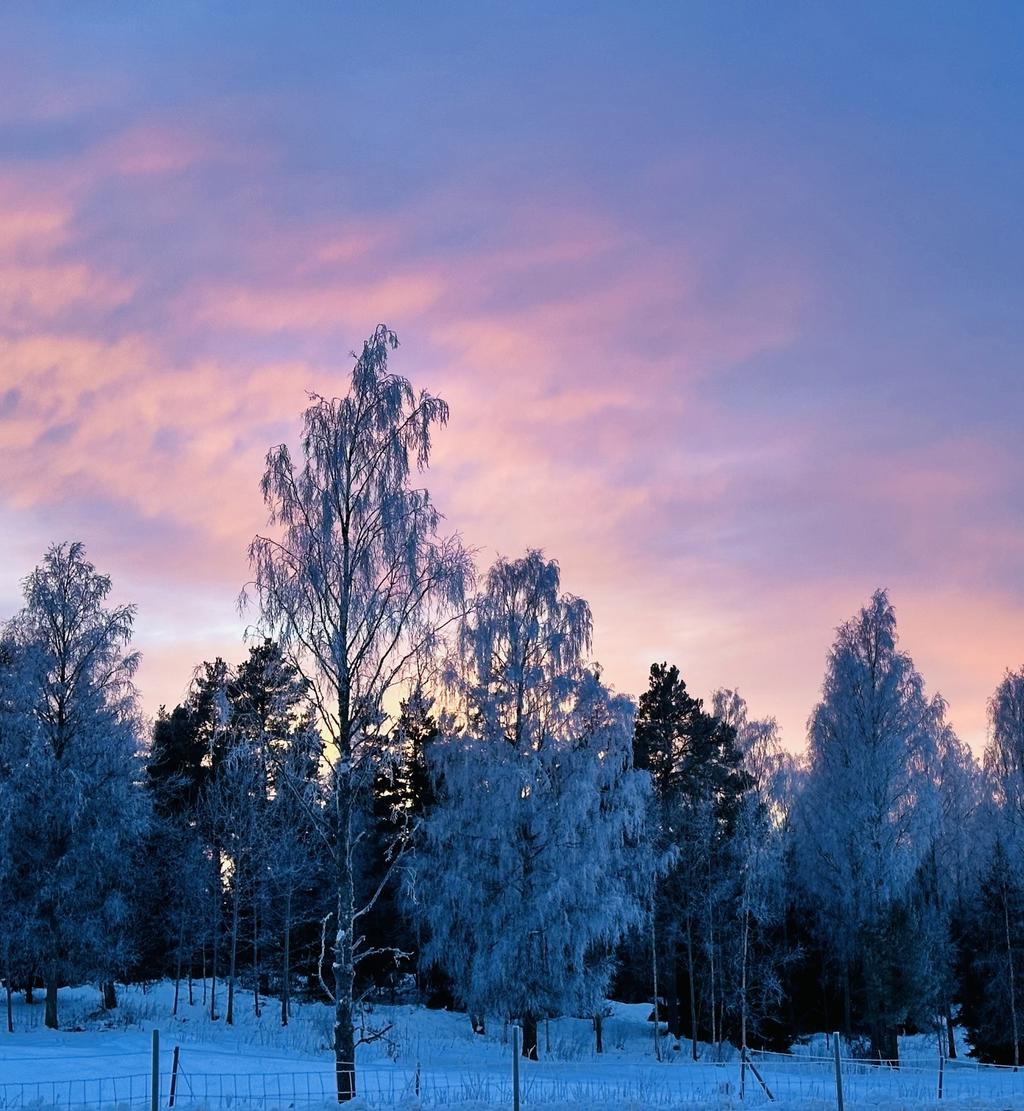 Säljarens bild