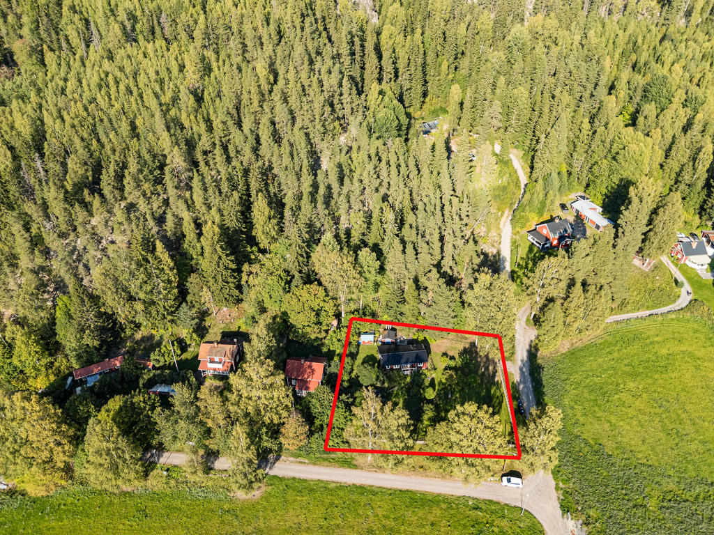 Trevlig hörntomt med skogen intill