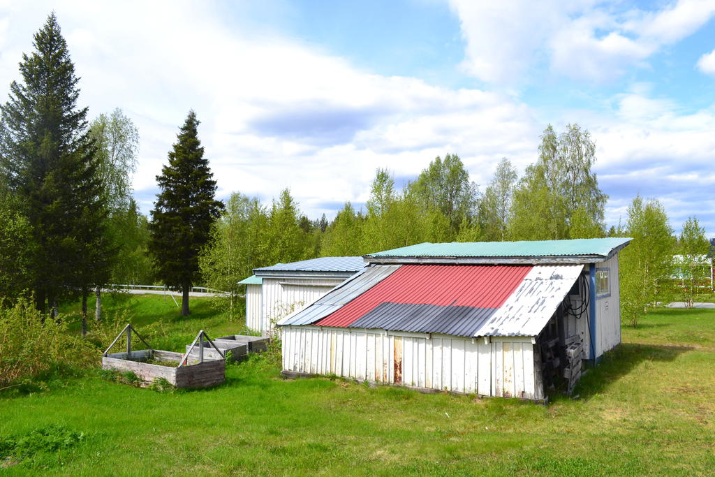 Bakgård. Vedskjul