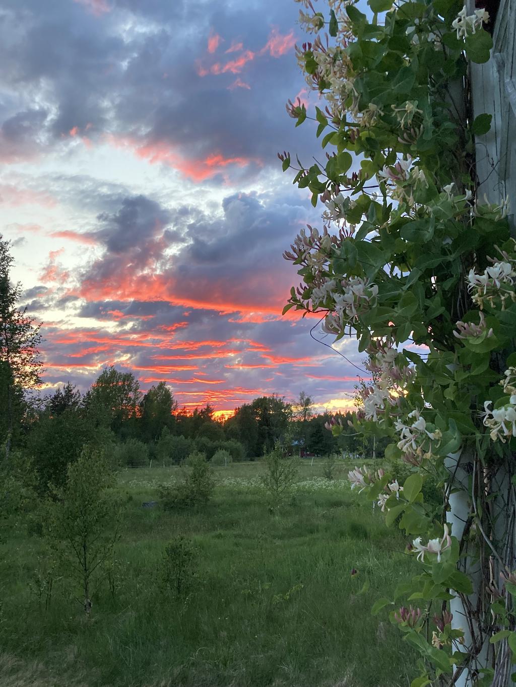 säljarens bild