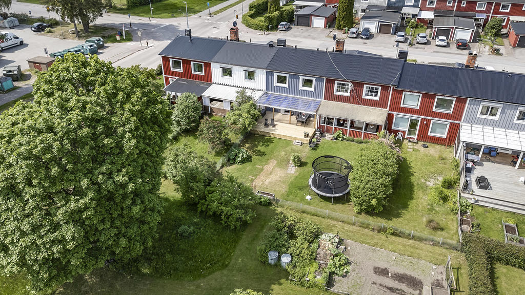 Baksida från ovan