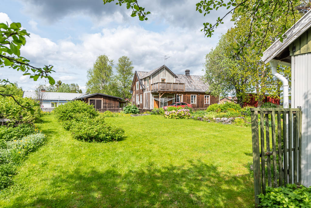 Mysig trädgård!