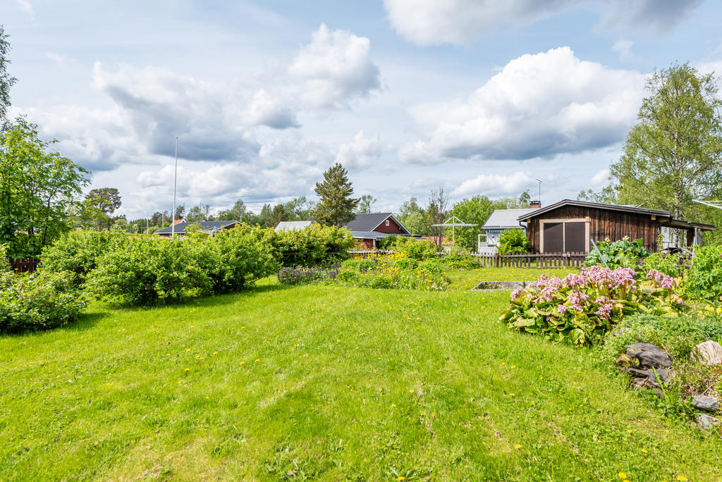 Flera bärburkar och gott om utrymme för odling 