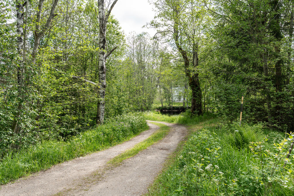 Väg ner mot sjön och badplats