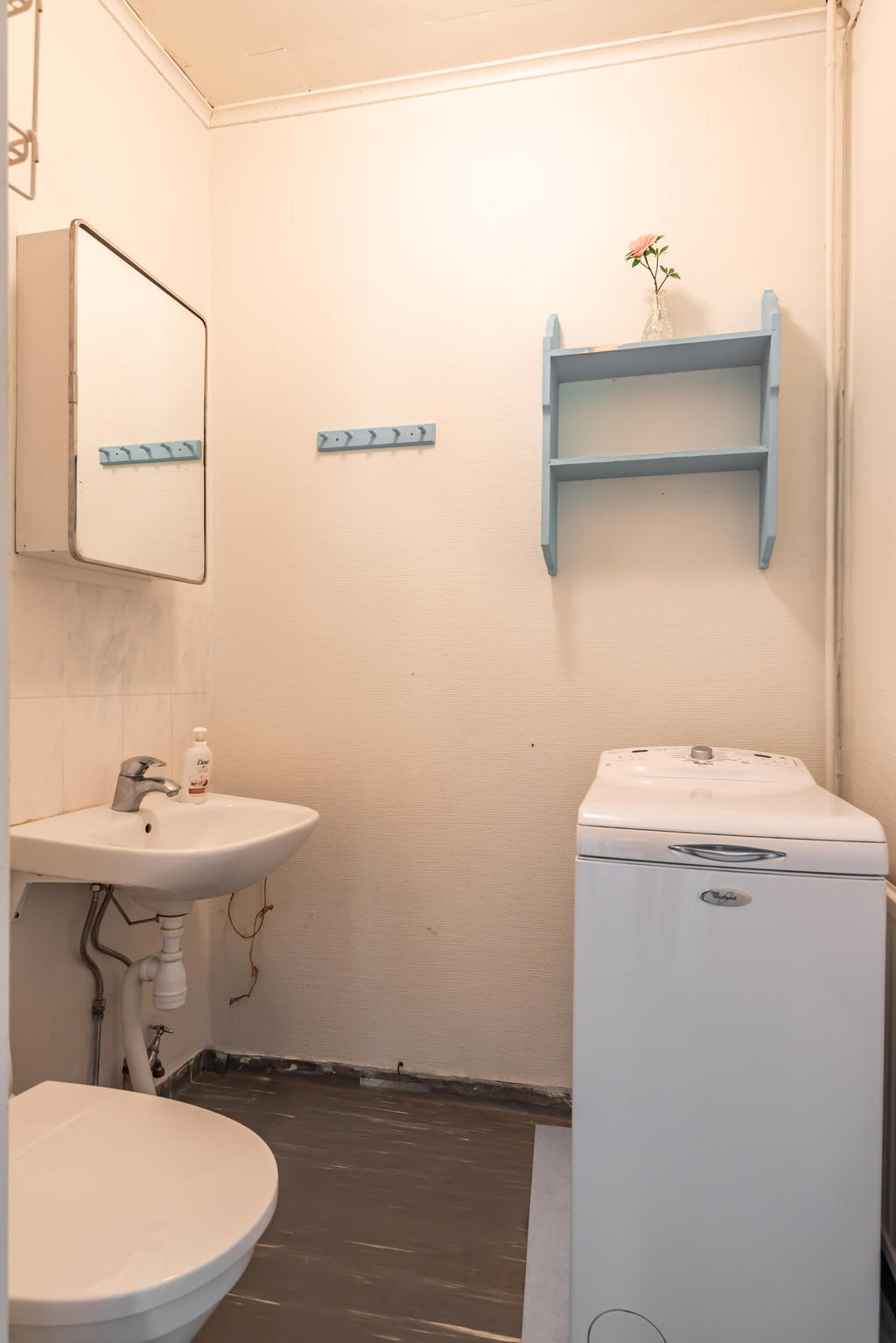 Wc med tvättmaskin