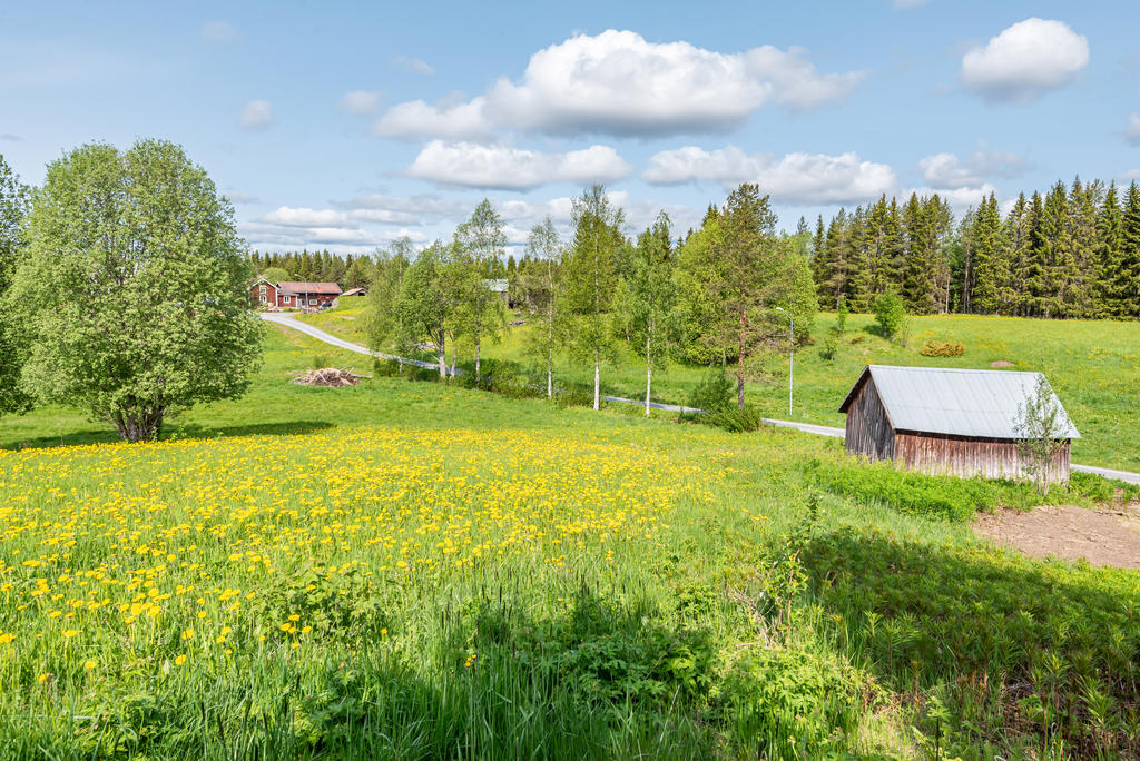 Sommar i Jämtland
