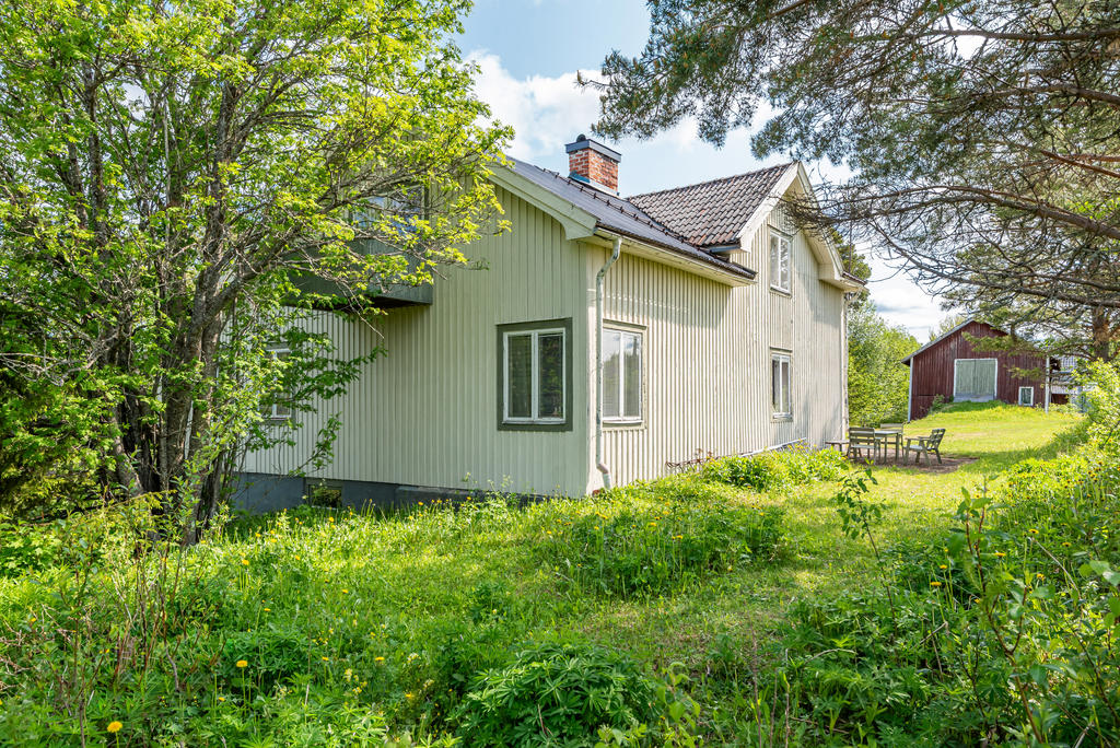 Trädgården