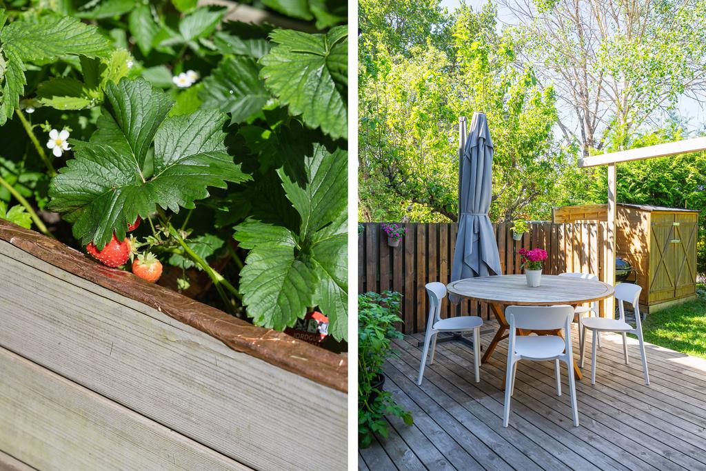 Härlig utemiljö med plats för odling