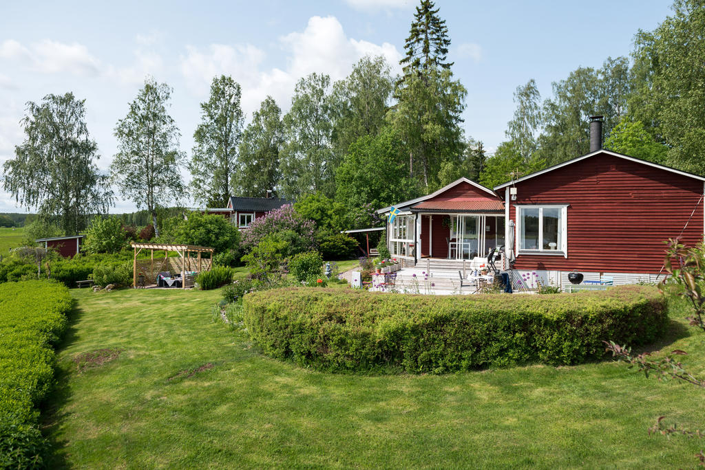 Trädgård.