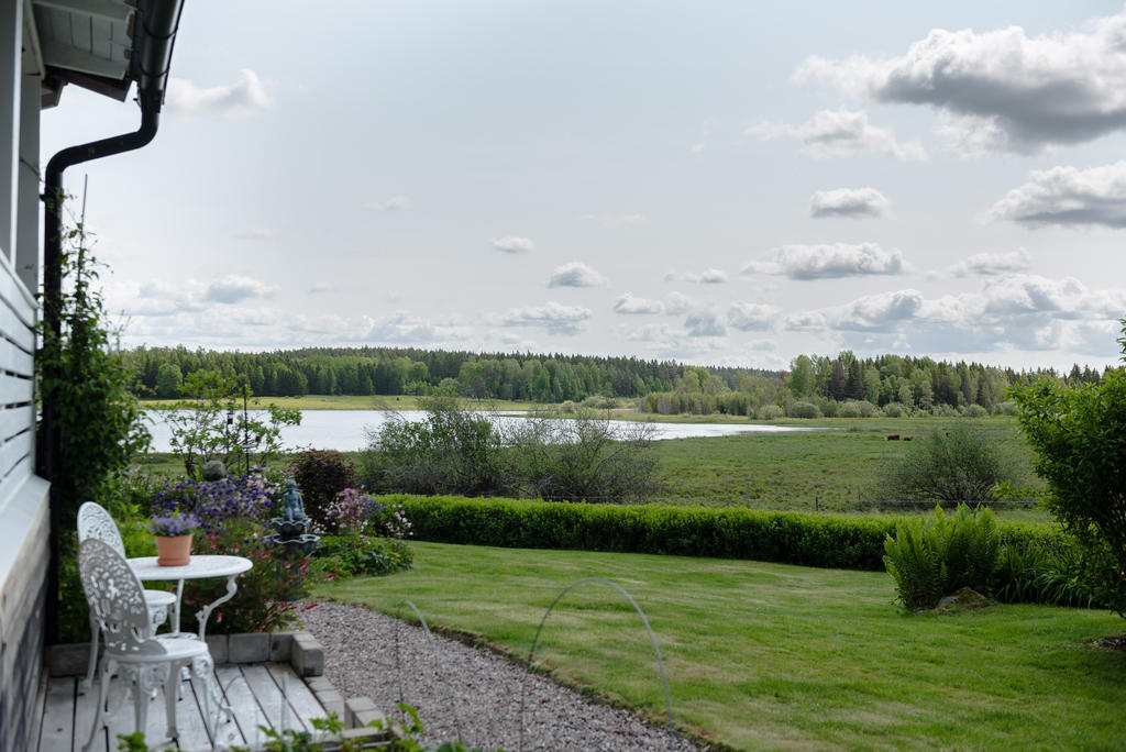 Trädgård.