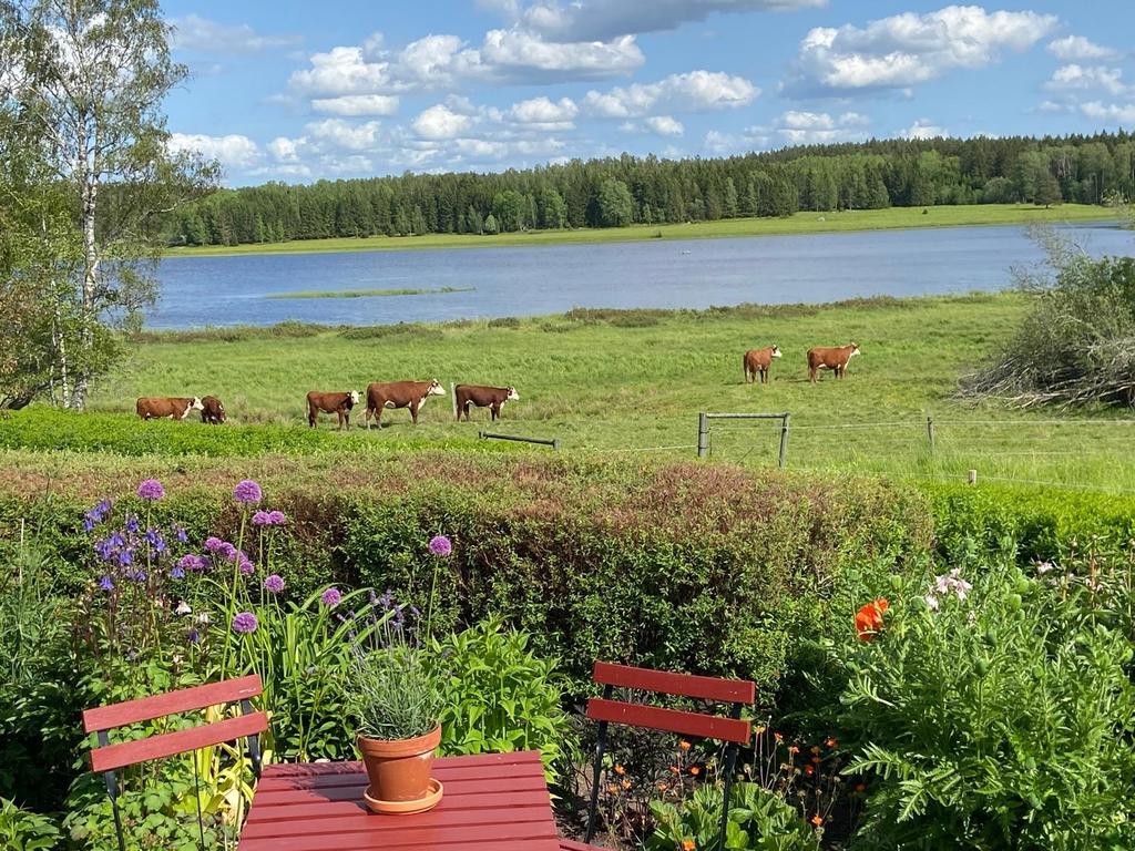 Säljarens privata bild.