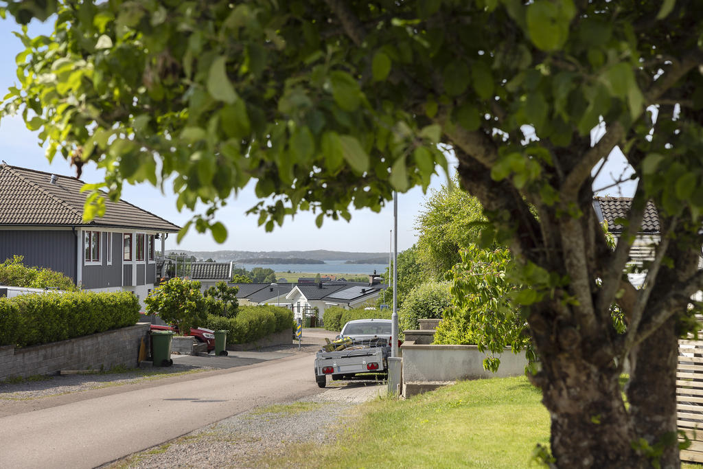 Fin utsikt från trädgården 