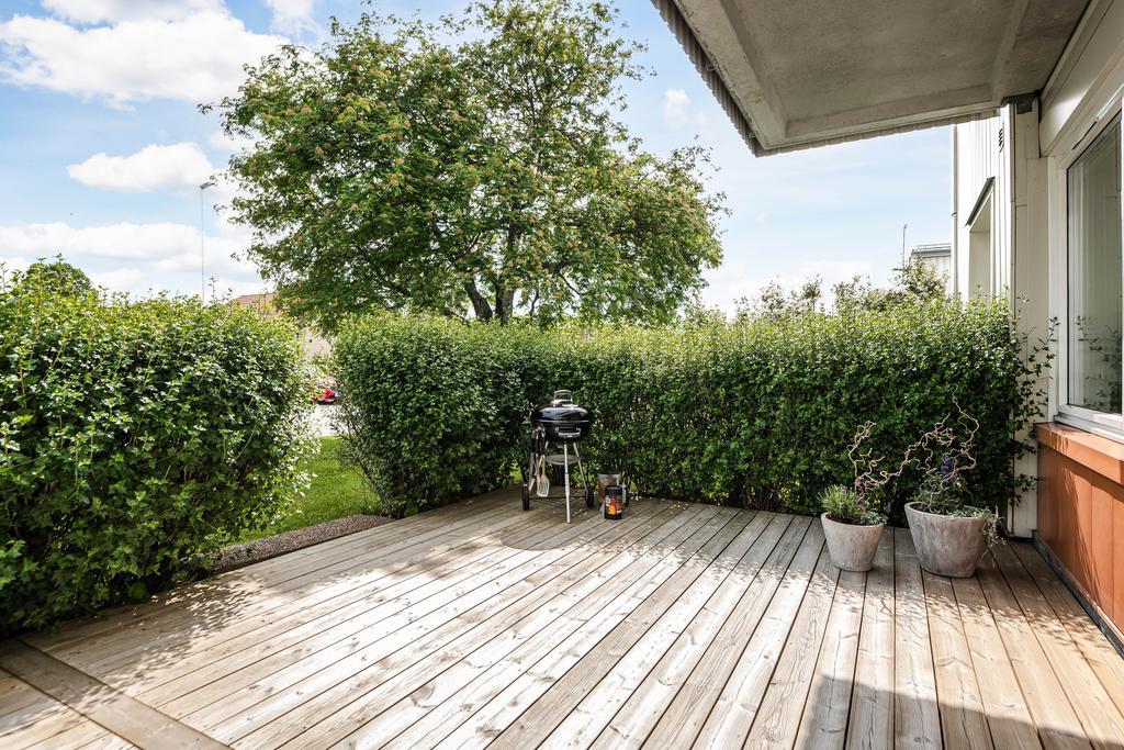 Grönskande häck som ramar in uteplatsen