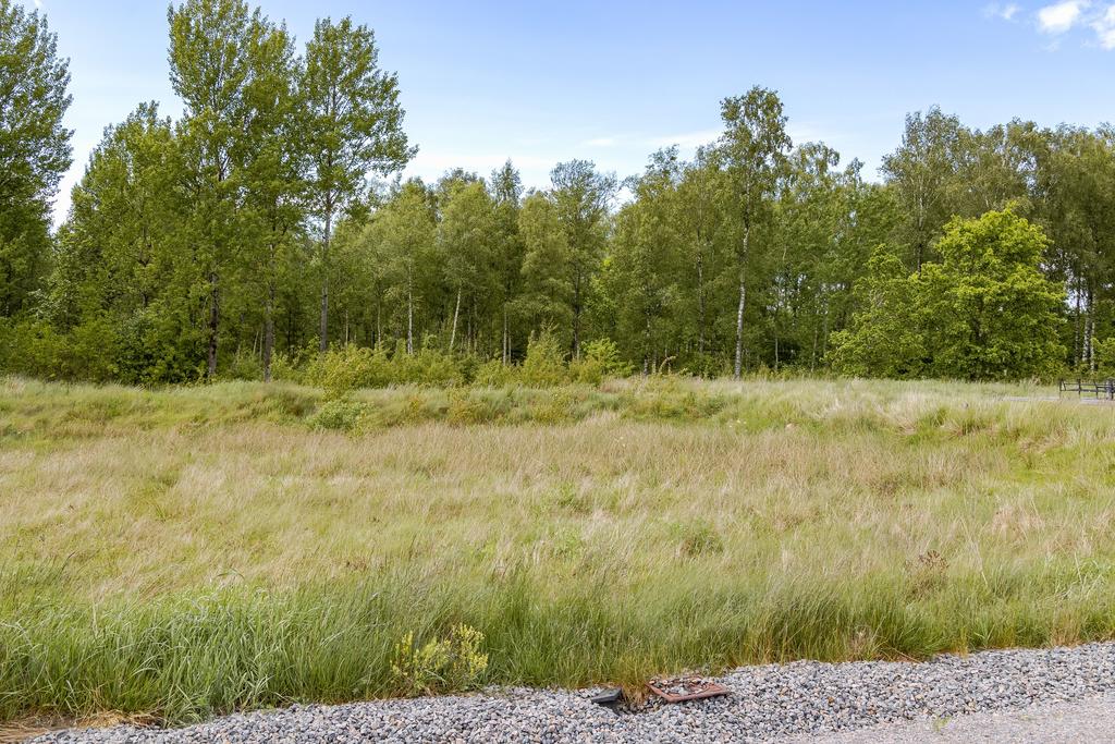 Plan och lättbebyggd tomt