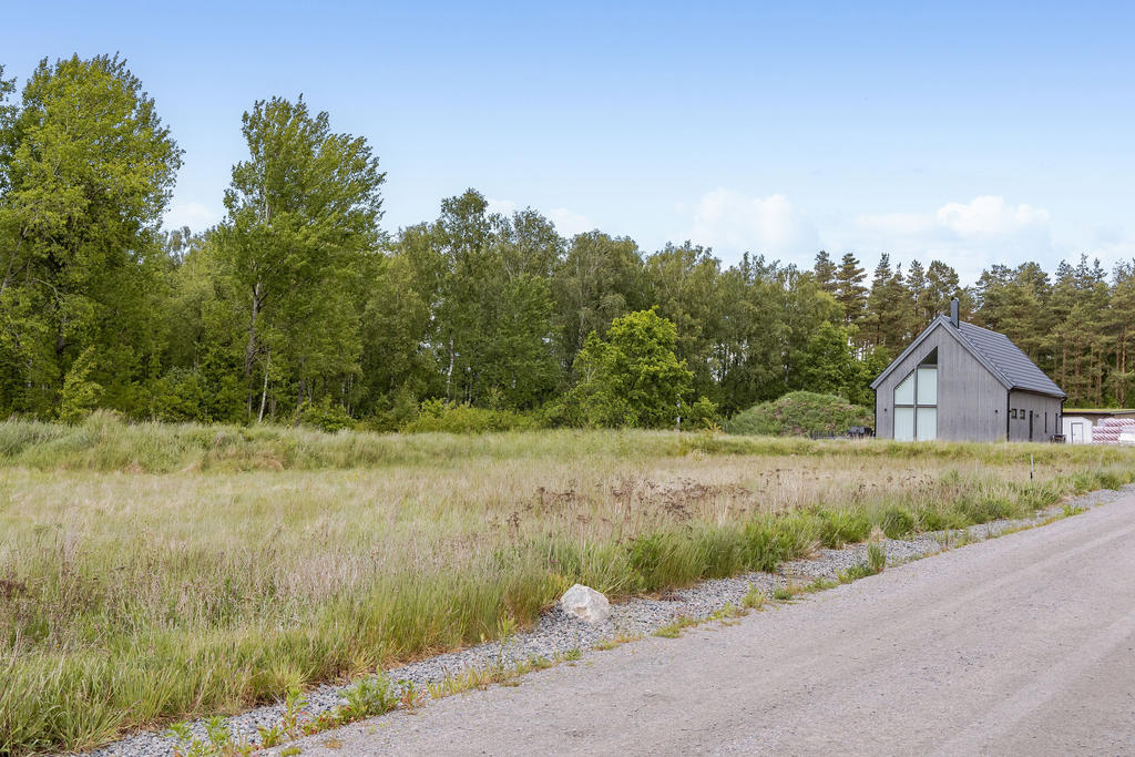Här har ni skogen som granne på baksidan!