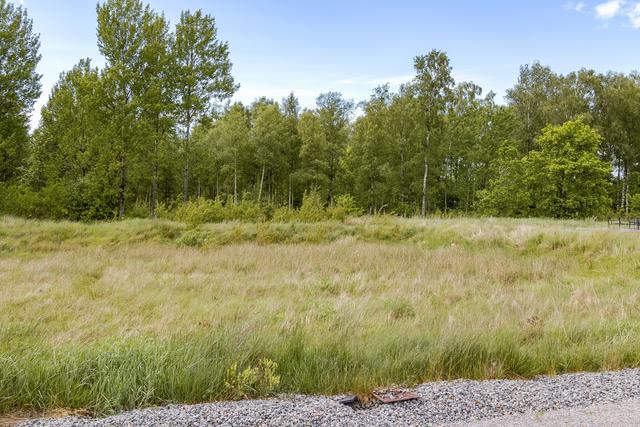 Plan och lättbebyggd tomt