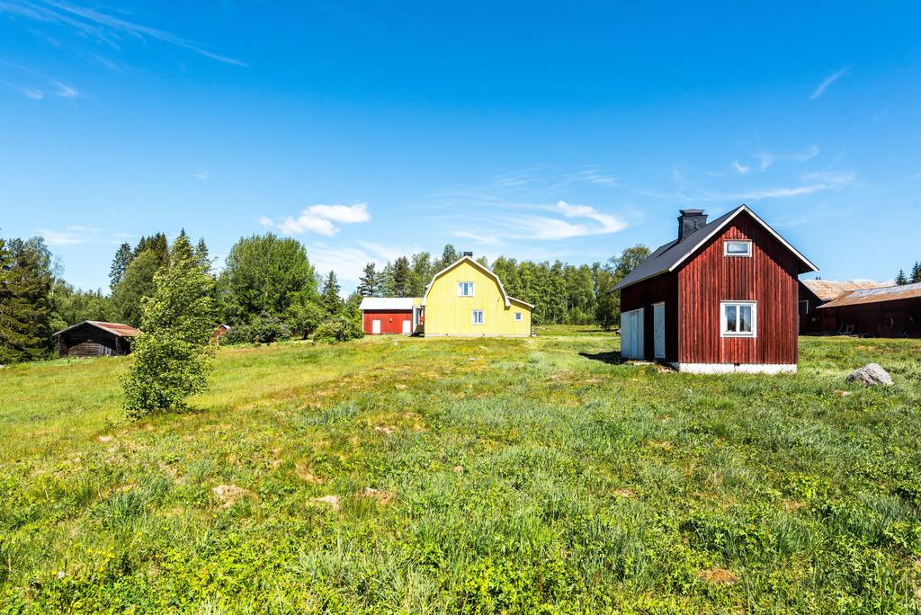 Exteriör