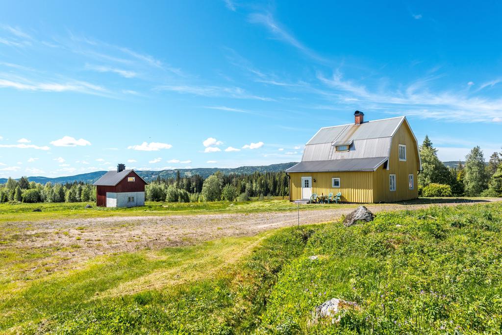 Exteriör
