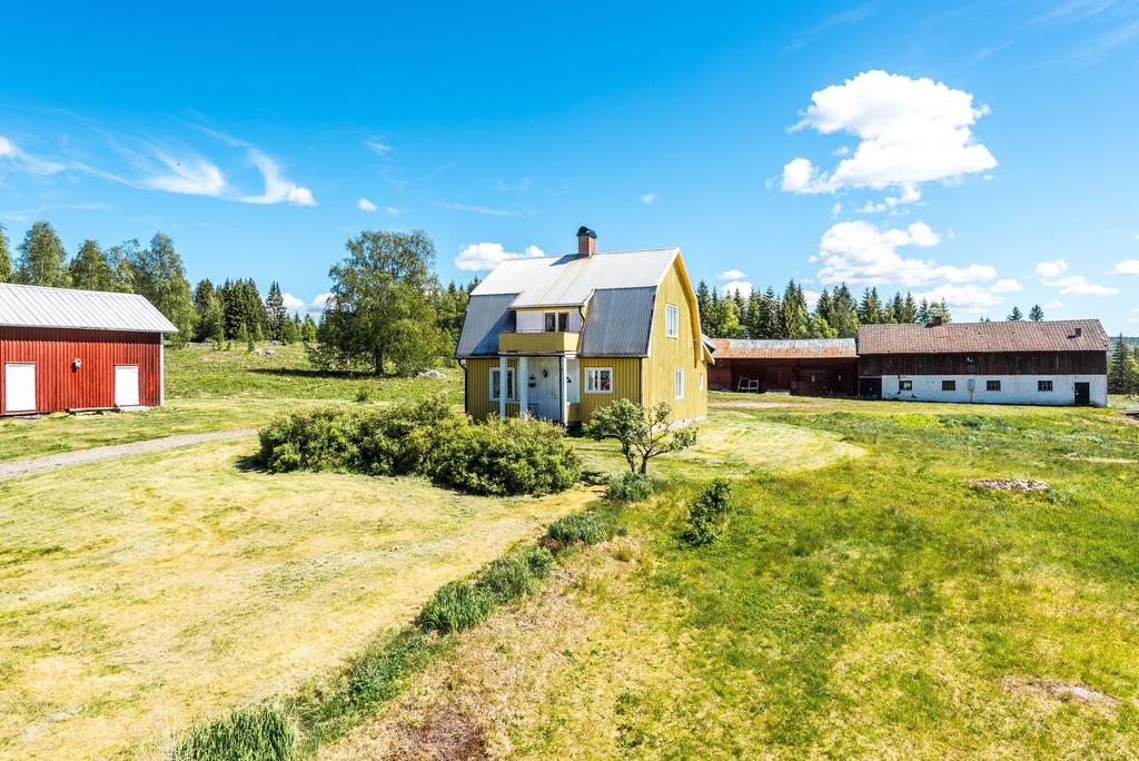 Exteriör