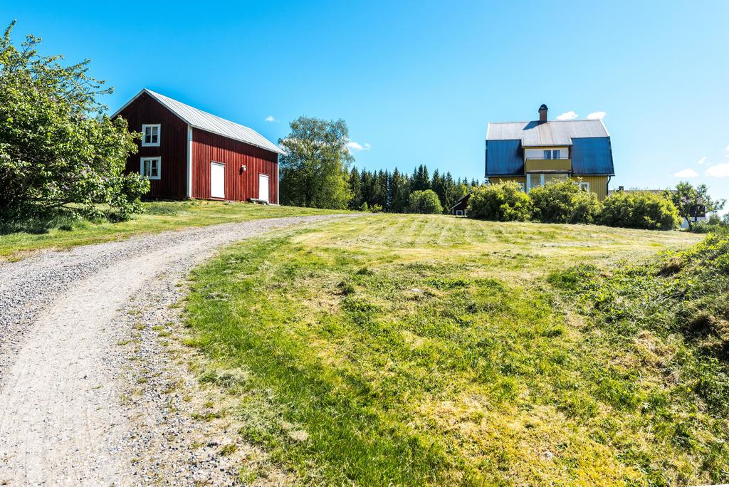 Exteriör