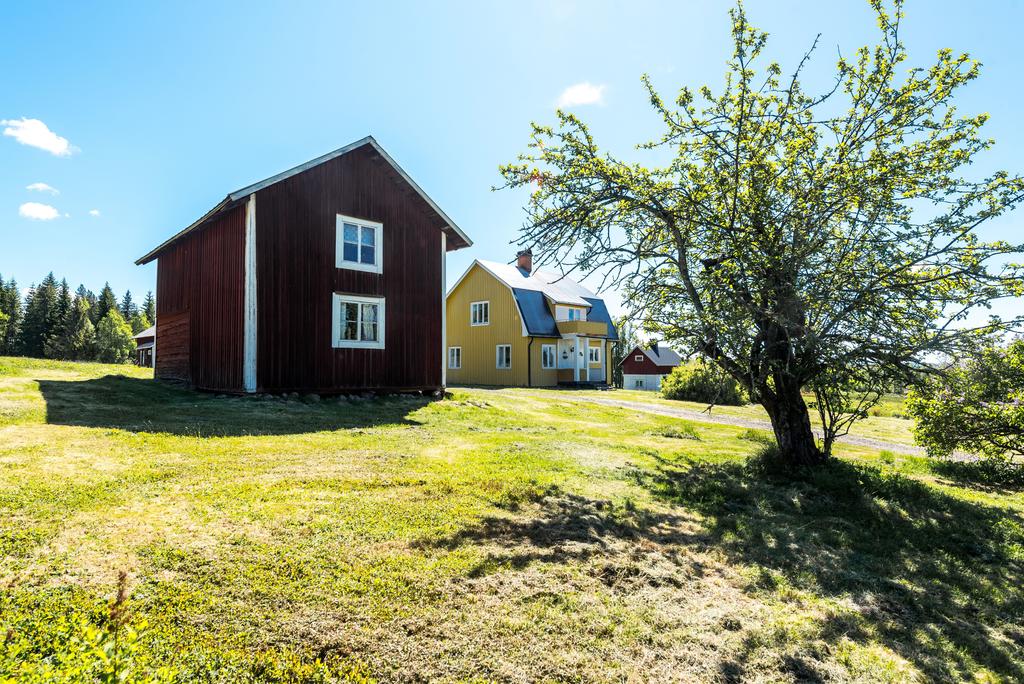 Exteriör