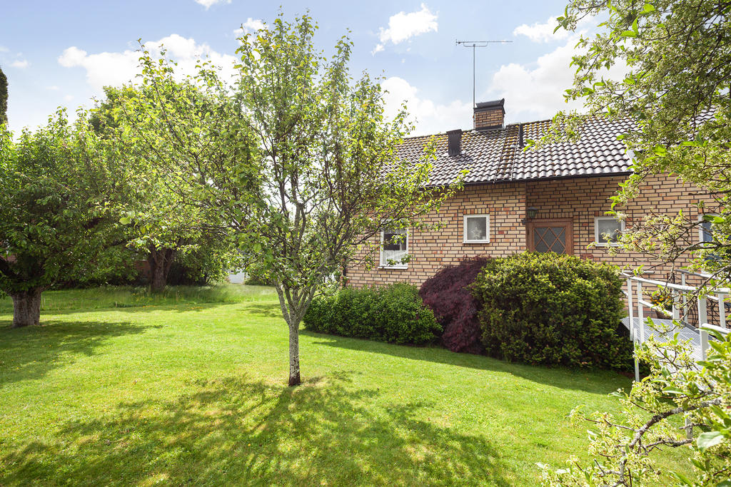 Trädgård och fasad