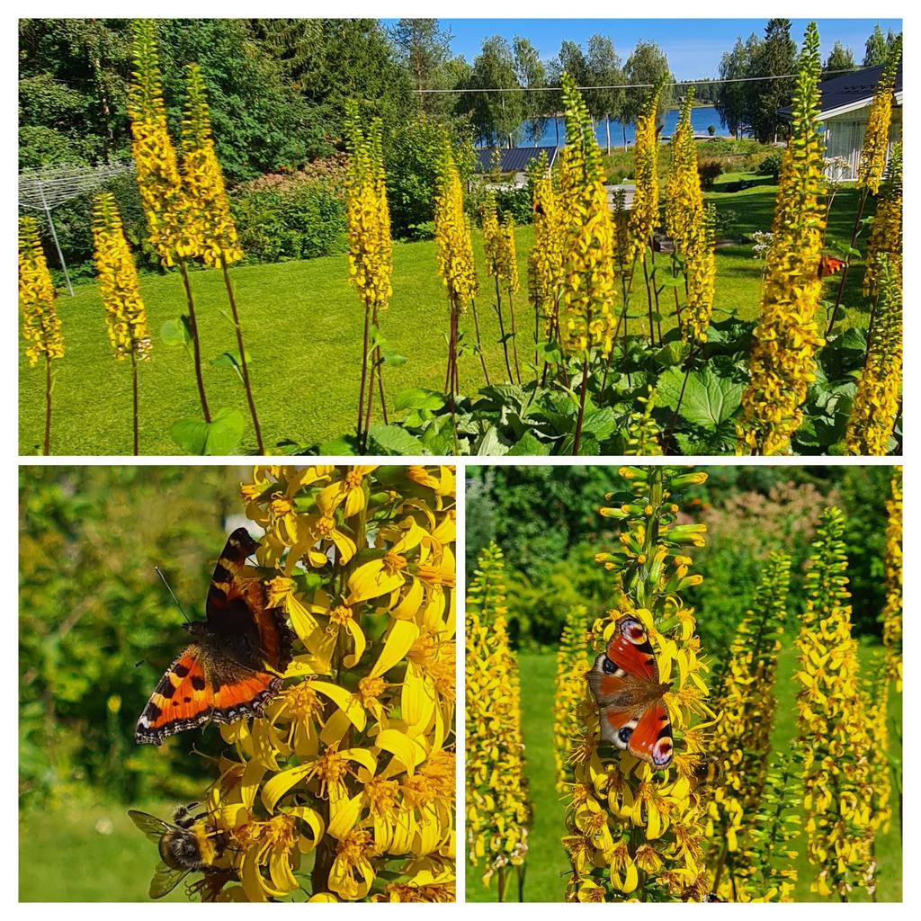 Säljarnas sommarbild