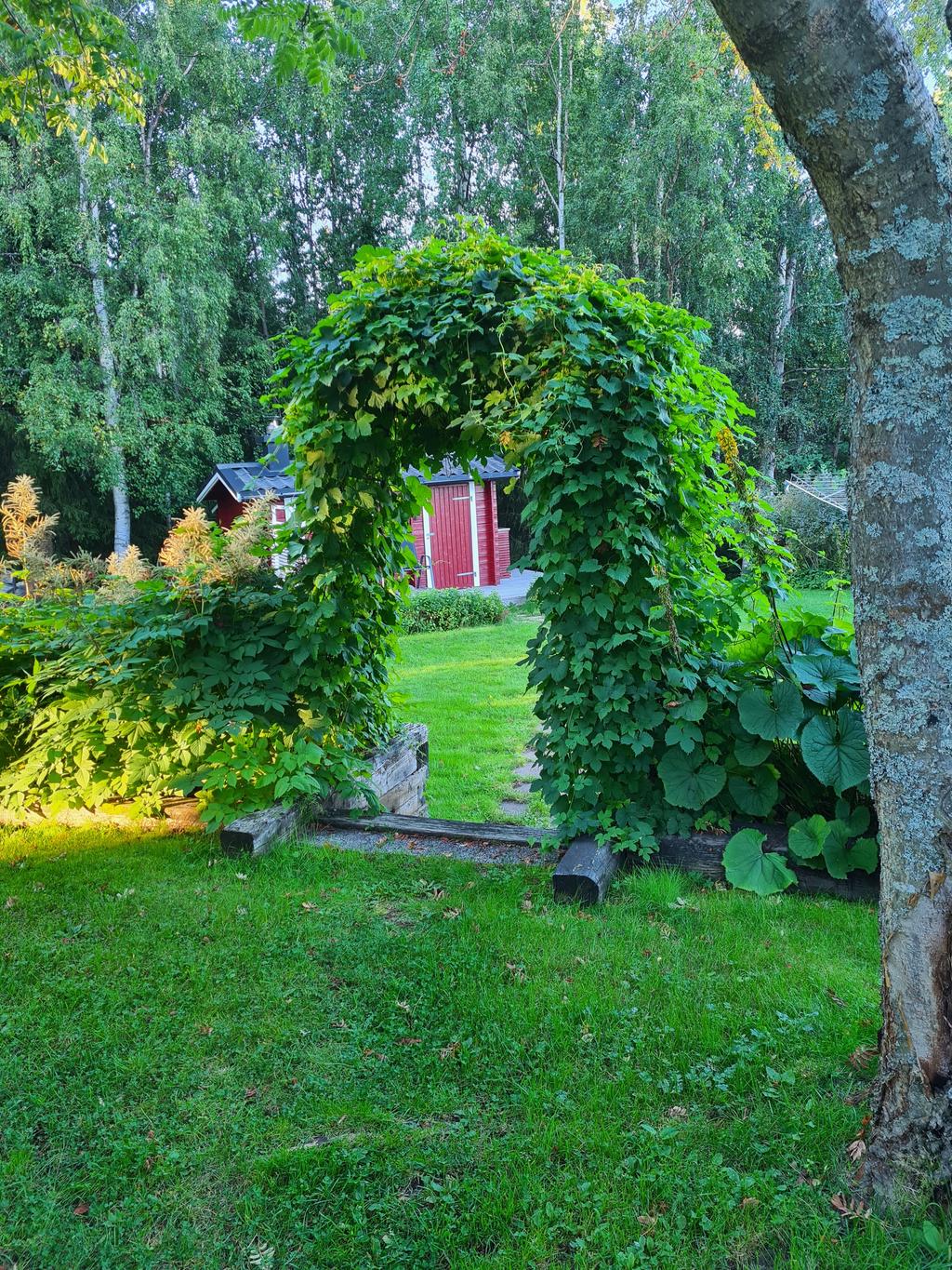 Säljarnas sommarbild