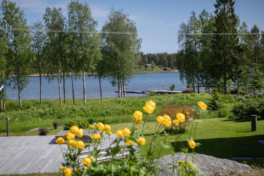 Zoomat foto från tomten mot vattnet