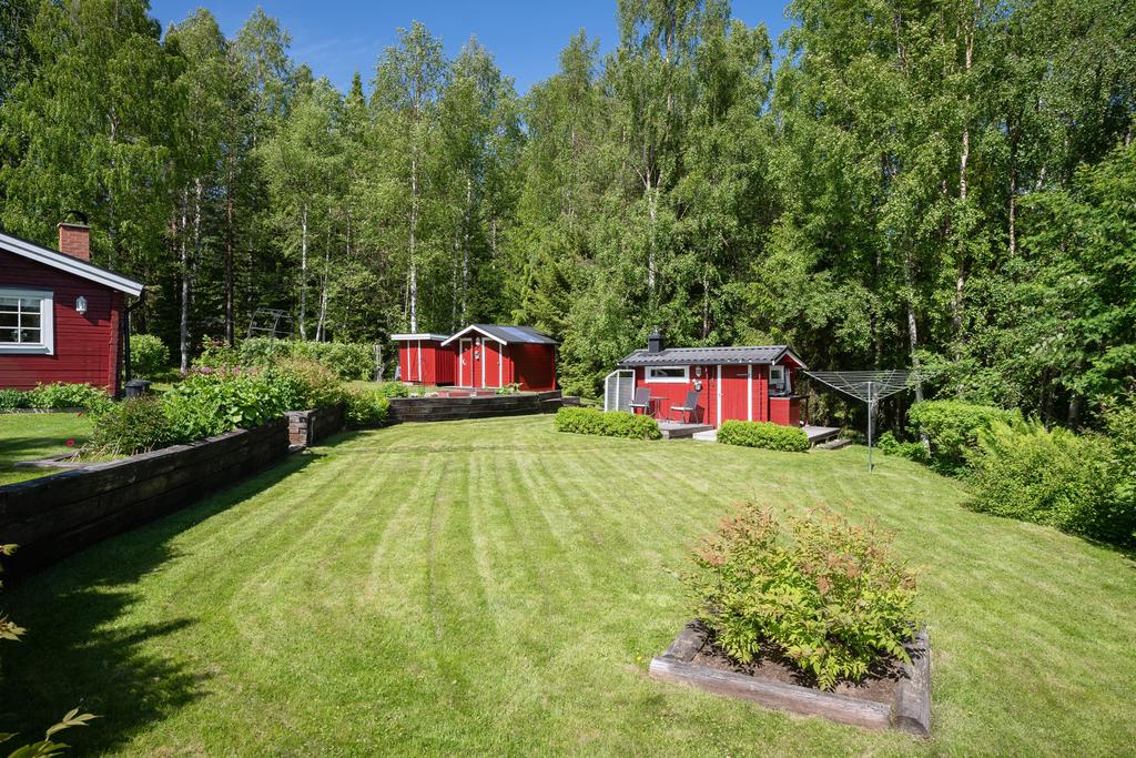 Mycket vacker trädgård