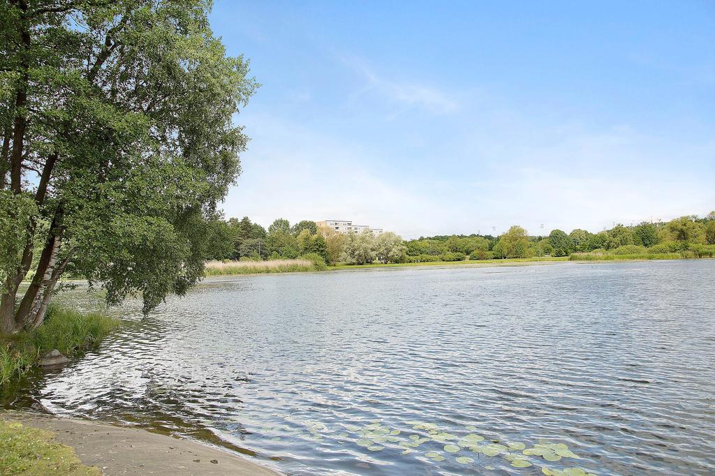 Råstasjön