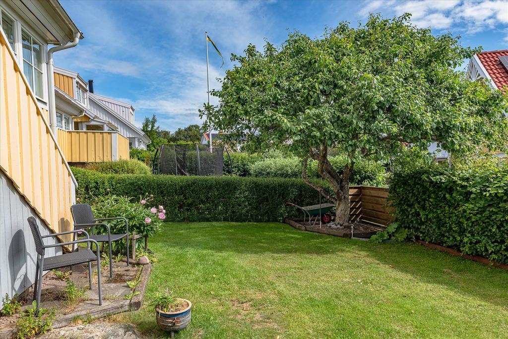 Mysig trädgård