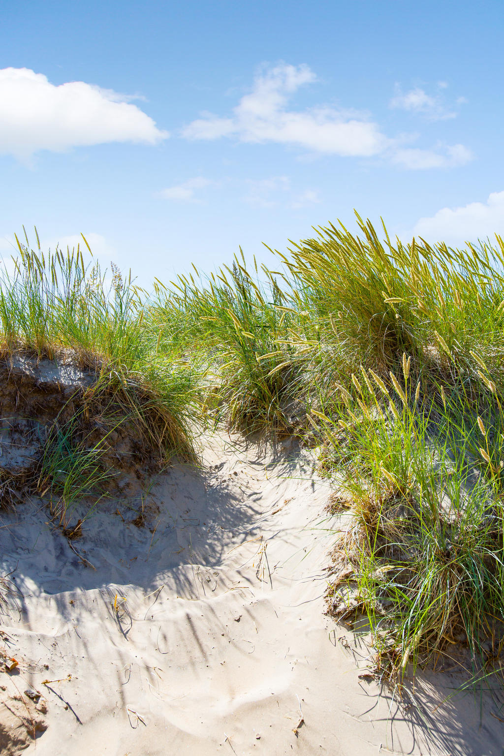 Skrea Strand