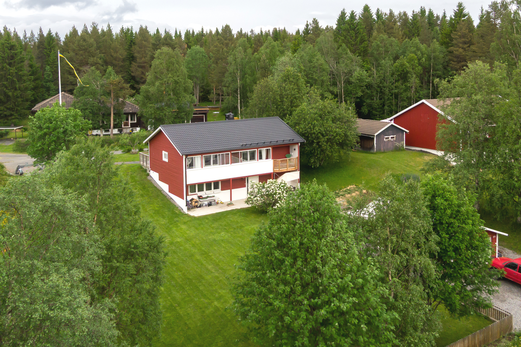 Omgiven om lummig växtlighet