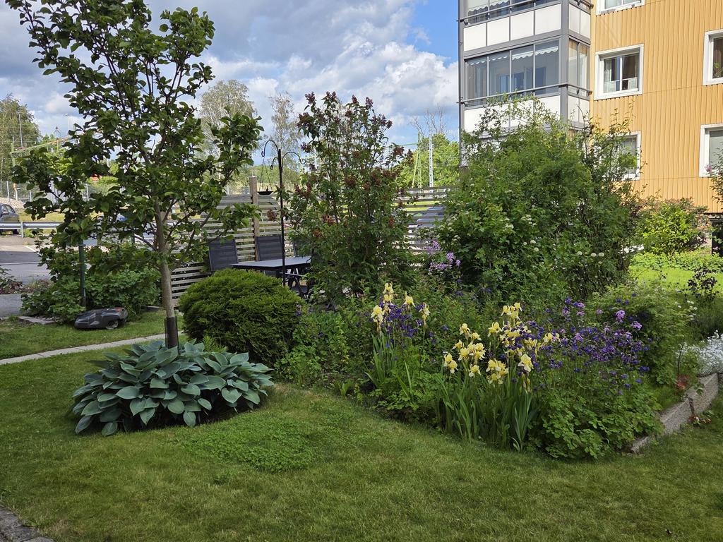 Föreningens innergård 