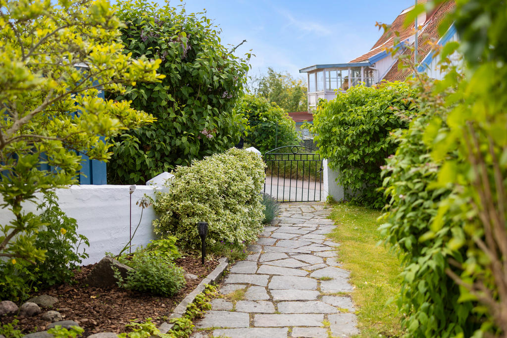 Vackert grönskande trädgård med murar och fina växter.