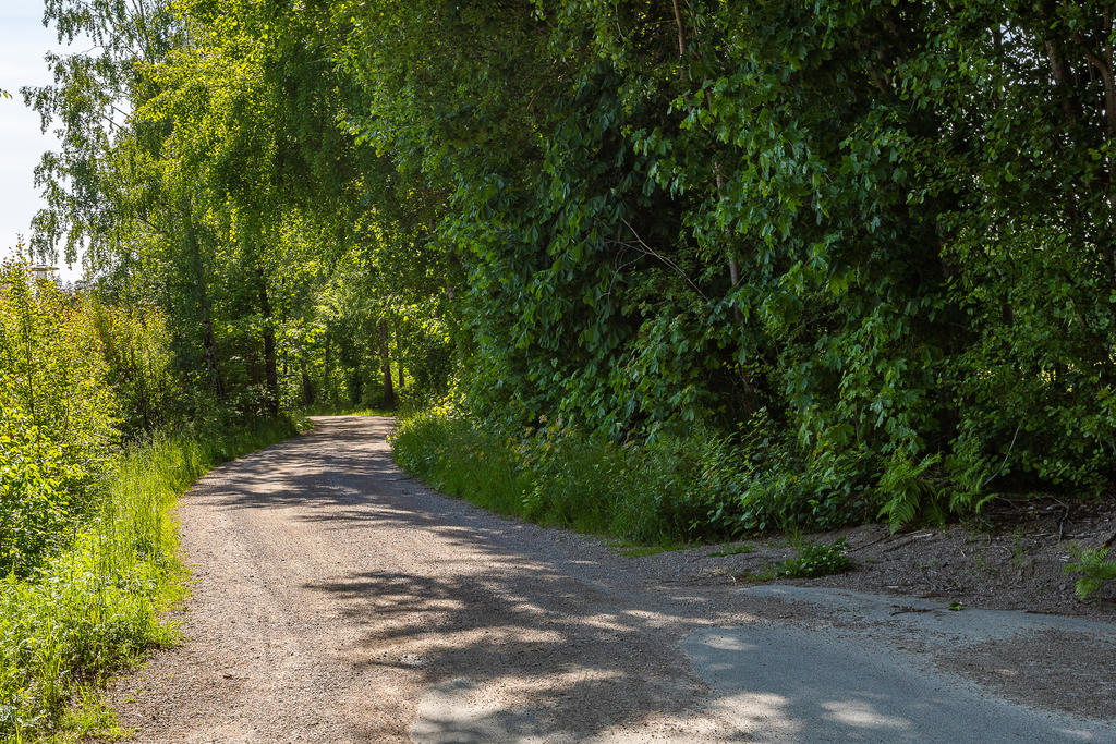Grusvägen som leder ner till badplatsen