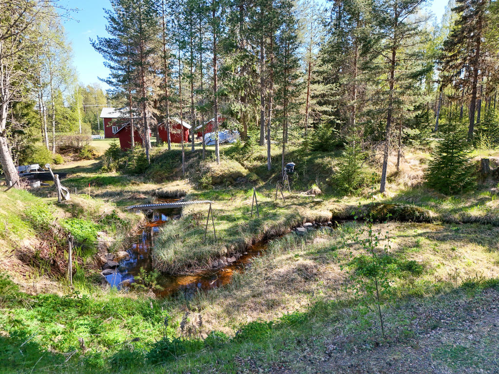 Vy mot bäck som rinner längs med tomtgränsen på grannens fastighet. 