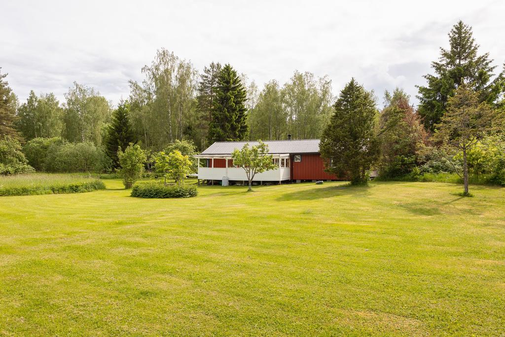 Trädgård