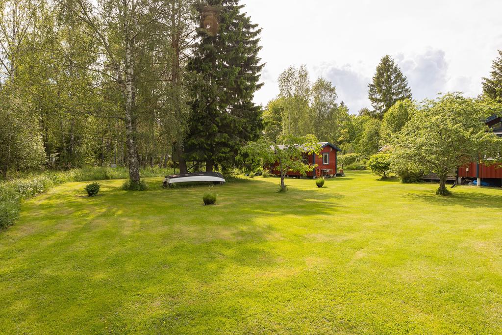 Trädgård