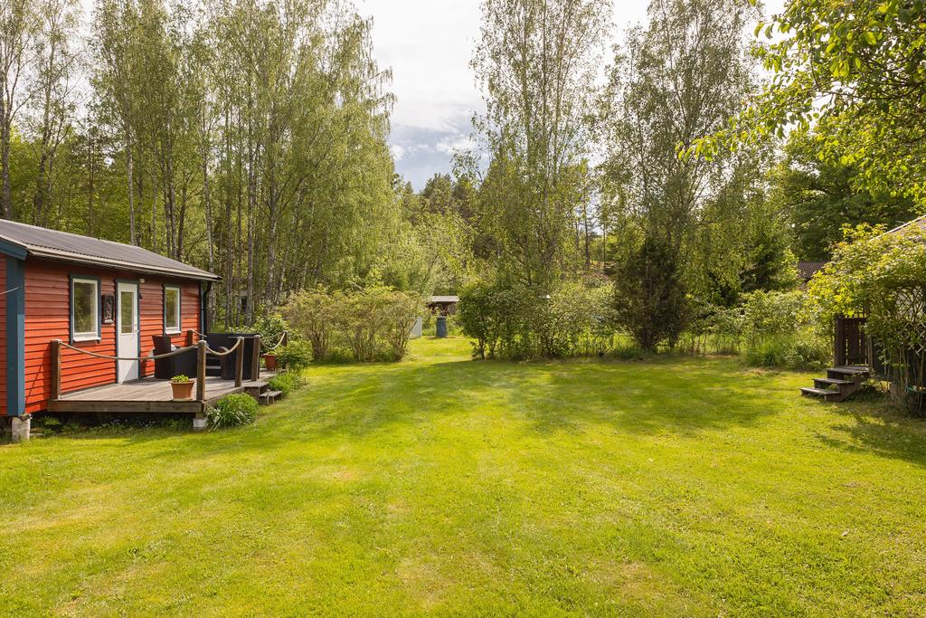 Trädgård