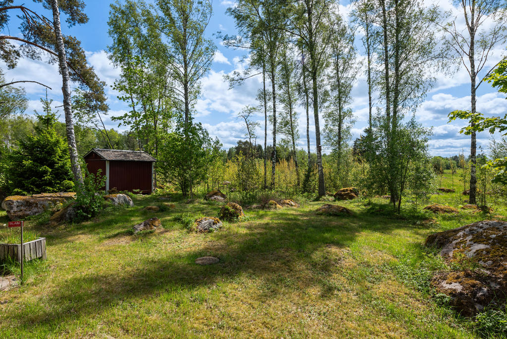 Vacker trädgårdstomt med viss berg i dagen och björkar.
