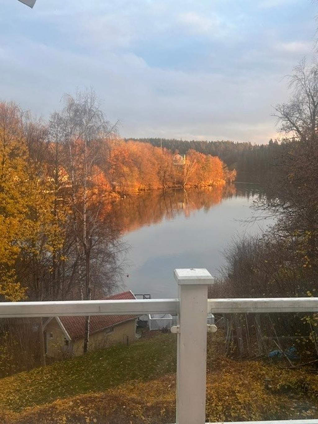 Säljarens bild